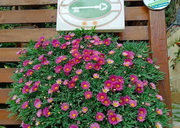 Gasthuis La Borgata 4*