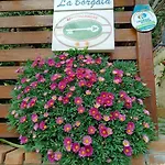 Gasthof La Borgata 4*